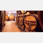 17. 2. 2017 Degustace Piemontských vín a delikates