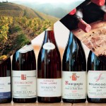 27. 5. 2016 Degustace francouzských vín z oblasti Burgundska