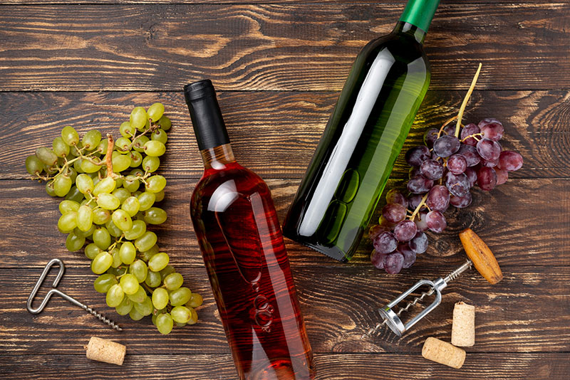 Degustace vín z rodinného vinařství Baláž - Dolní Dunajovice