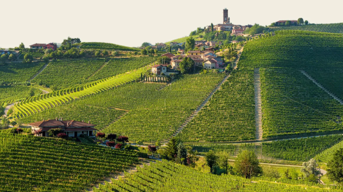 DEGUSTACE BARBARESCA S MARTINEM PROCHÁZKOU 6.11.2025