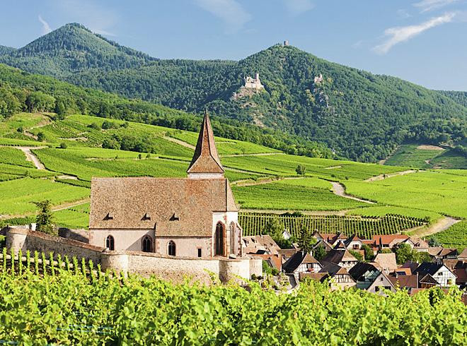 TOP vína od firmy Vin d´Alsace s.r.o. 30.10.2025